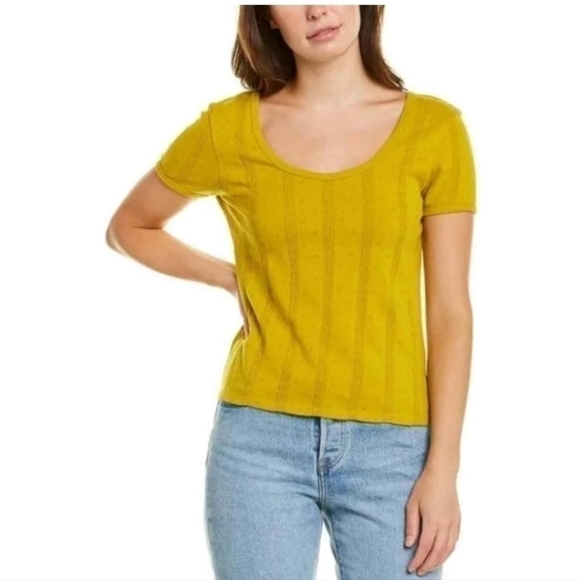 Madewell Pointelle Ribbed Tee in Golden Meadow, sz Small - Picture 3 of 11